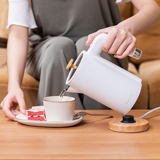 pinlo迷你烧水壶