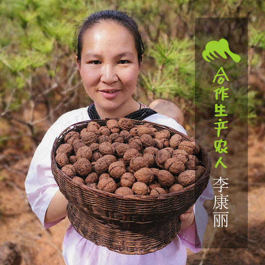 野生纸皮核桃仁（圆通）| 合作生产* Wild walnut meat | Coproduction 商品图5