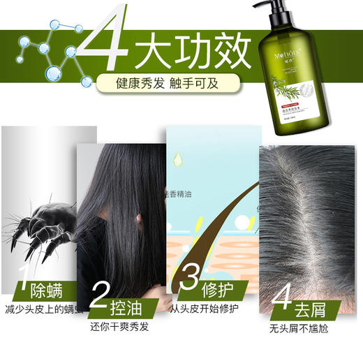 【网红口碑款】迷迭香洗发水 无硅油-D仓 商品图2