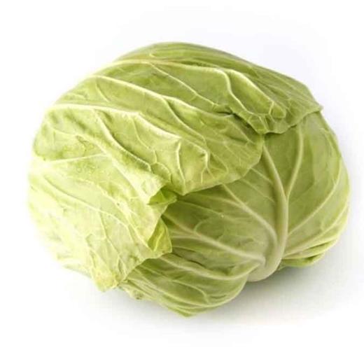 酸包菜 约500克 商品图0