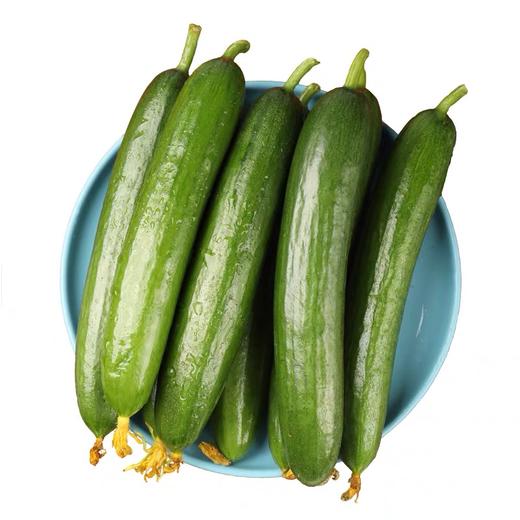 3斤特惠6元斤精选油黄瓜新鲜小黄瓜水果黄瓜