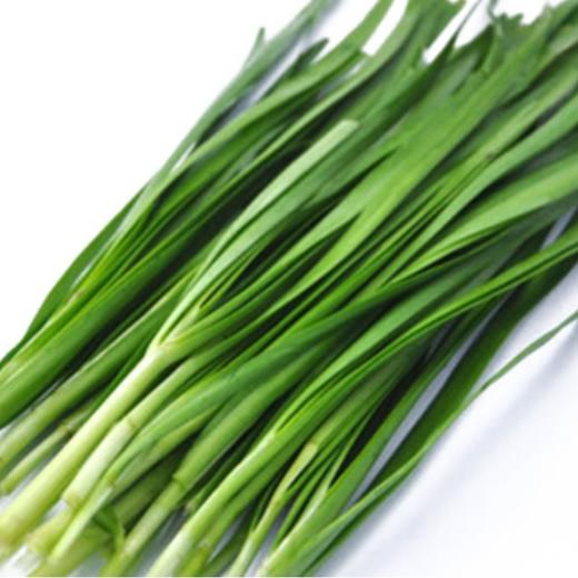 韭菜约500g 商品图0