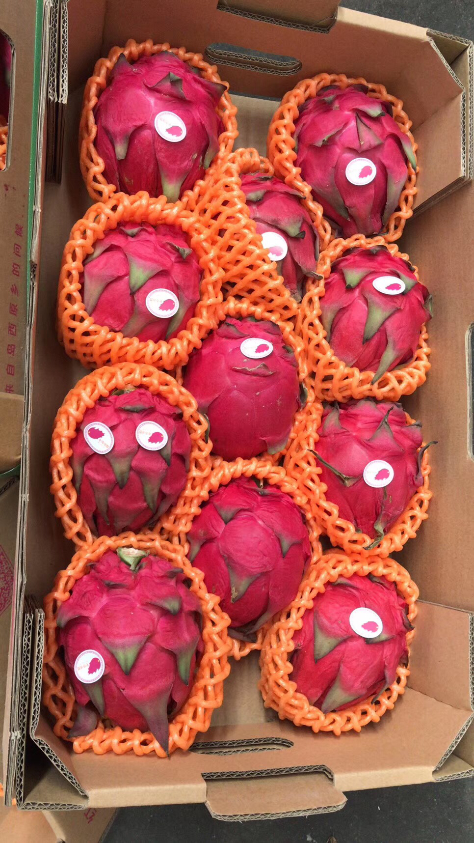 【高氏蜜宝火龙果】新鲜到啦!切开用勺子吃减肥必备满满花青素!