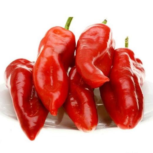 大红椒约500g 商品图0