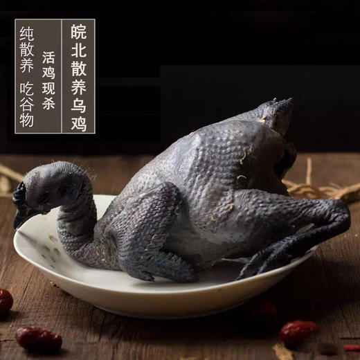 临泉县林下散养乌鸡现杀乌鸡活鸡4斤左右 商品图3