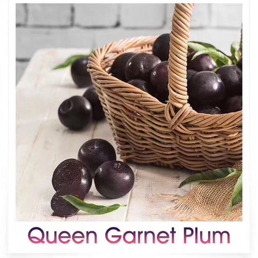 澳洲减肥李，女神必备，常吃可以减肥的水果，果肉呈红色，放软蜜甜无酸，特别好吃 商品图2