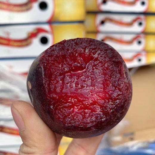 澳洲减肥李，女神必备，常吃可以减肥的水果，果肉呈红色，放软蜜甜无酸，特别好吃 商品图1