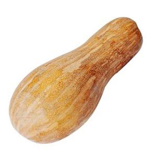 长南瓜（生鲜类商品当日取货，过期按取货日价格） 商品图0