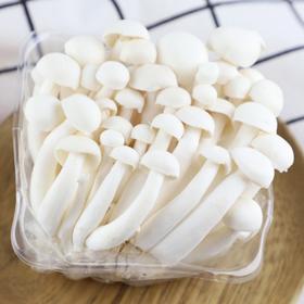 白玉菇（150g/袋）