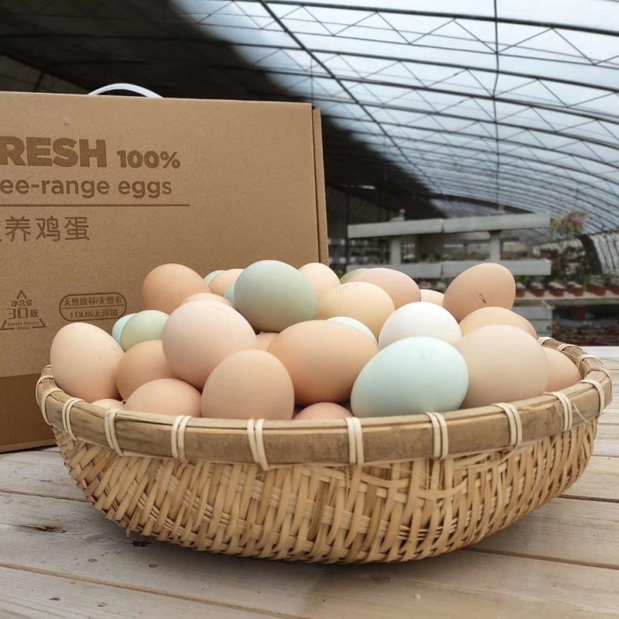 Fho8J7mUP1urJVzqhE7shWG5kVAp.jpg Fho8J7mUP1urJVzqhE7shWG5kVAp.jpg