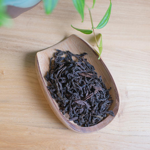 寻慢丨石乳 武夷岩茶 一级 50g