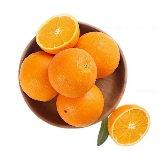 夏金脐橙5斤 商品图0