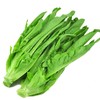 油麦菜 约500g 商品缩略图0