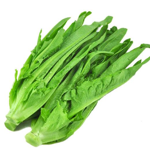 油麦菜 约500g 商品图0