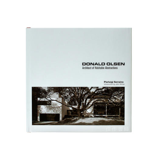 Donald Olsen: Architect of Habitable Abstractions/唐纳德奥尔森：可居住的抽象建筑师 商品图0