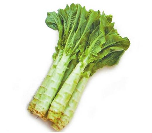 青笋1根 2.5斤左右/份 16:00前订购,次日12:00后自提 - 广电优品