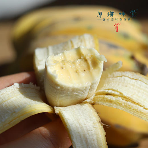 生态老实芭蕉（又名粉蕉）/香蕉（基地直发-顺丰包邮） | 2.8斤，4.8斤，来自云南玉溪，生产者：张扬【合作生产，公平贸易】 商品图3