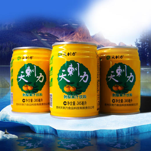 贵州特产 天刺力刺梨饮料 盘县野生刺梨汁新鲜刺梨饮料245ml*12瓶