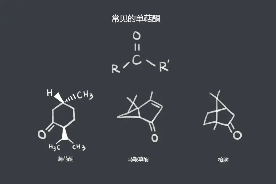 第1单元丨第9课 精油如何分类 从有机化学角度 Dr Wong