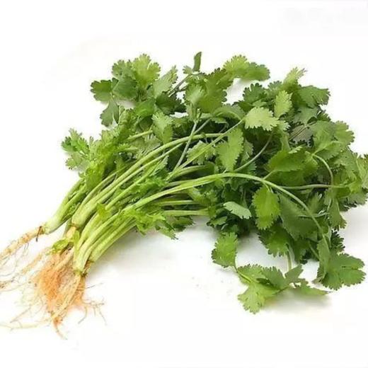 香菜 （约500g) 商品图0