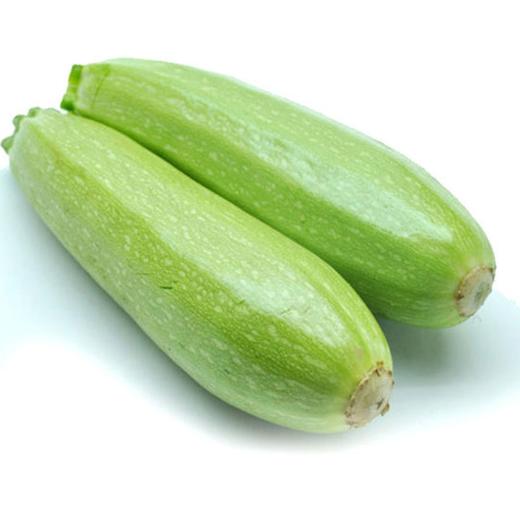 西葫芦 约500g 商品图0