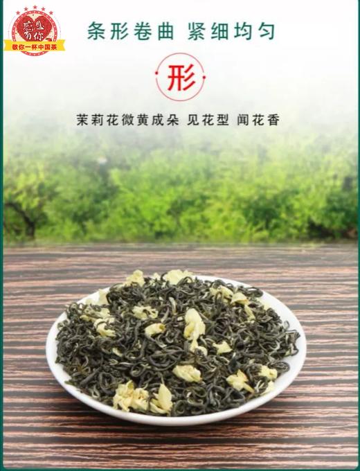 碧潭飘雪•茉莉花茶（六窨一炒） 商品图3