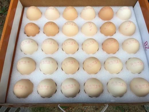 品质优选出口级可生食鸡蛋30枚礼盒装