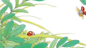 妈妈都喜欢的昆虫绘本 故事