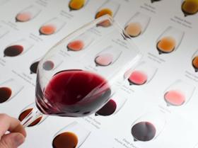 你知道葡萄酒有几种颜色吗？