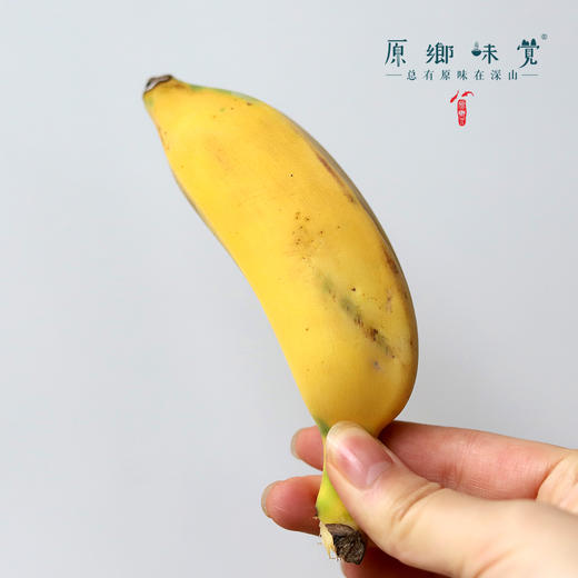 生态老实芭蕉（又名粉蕉）/香蕉（基地直发-顺丰包邮） | 2.8斤，4.8斤，来自云南玉溪，生产者：张扬【合作生产，公平贸易】 商品图6