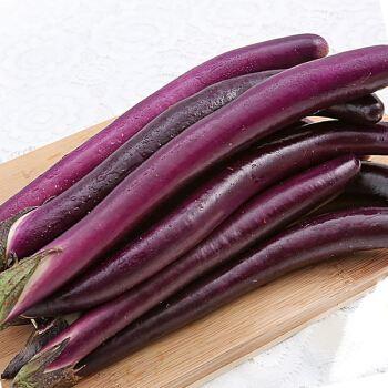 杭茄 茄子500g左右/份 当日16:00前订购,次日12:00后自提