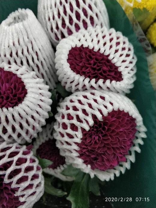 【乒乓菊】紫色 约10枝/扎 商品图4