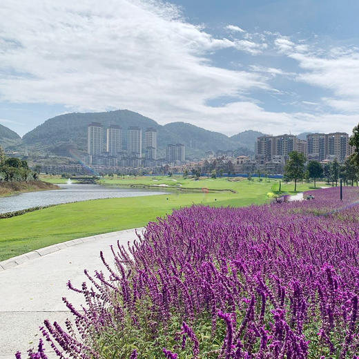 贵阳乐湾国际高尔夫俱乐部 Guizhou Lewan International Golf Club | 贵阳高尔夫球场 | 贵州高尔夫球场 | 中国 商品图2