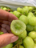 一票难求！火到爆！澳洲•甜地球青提咬起来都能听到嗷嗷脆[色]，纯甜哒～脆甜爽口，无籽多汁，一口一个，过瘾[嘿哈]。营养美味两不误 商品缩略图2