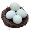 密农人家 农家五谷喂养绿壳土鸡蛋  柴鸡蛋 30枚  绿壳笨鸡蛋 商品缩略图6