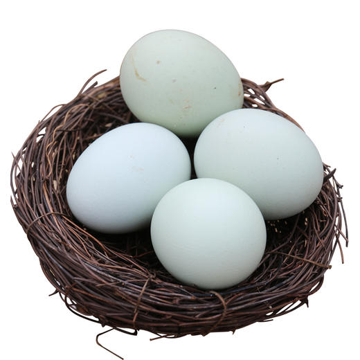 密农人家 农家五谷喂养绿壳土鸡蛋  柴鸡蛋 30枚  绿壳笨鸡蛋 商品图6