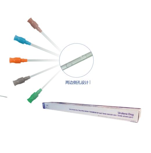 知密亚导尿管-犬用 商品图0