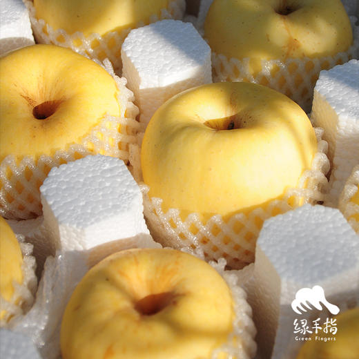 生态维纳斯苹果 | 合作生产*Eco-Venus apple | Coproduction 商品图2