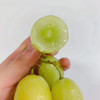 一票难求！火到爆！澳洲•甜地球青提咬起来都能听到嗷嗷脆[色]，纯甜哒～脆甜爽口，无籽多汁，一口一个，过瘾[嘿哈]。营养美味两不误 商品缩略图1