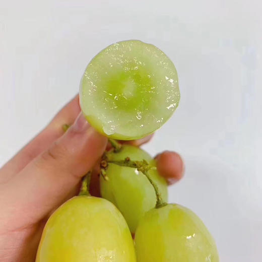 一票难求！火到爆！澳洲•甜地球青提咬起来都能听到嗷嗷脆[色]，纯甜哒～脆甜爽口，无籽多汁，一口一个，过瘾[嘿哈]。营养美味两不误 商品图1