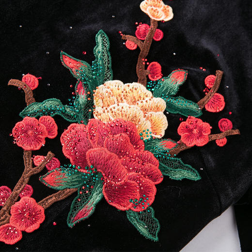 MY-69138新款丝绒国风复古立领刺绣连衣裙 商品图3