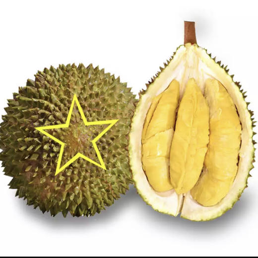 榴莲 马来西亚高山老树猫山王 D197 （ 购买前请看详情） 商品图6