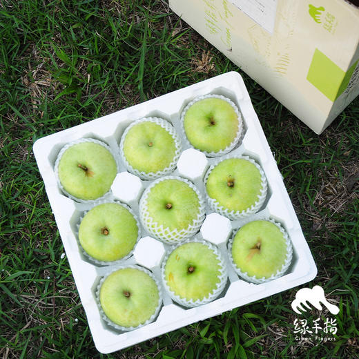 生态王林苹果 | 合作生产*Eco-Wanglin apple | Coproduction 商品图3