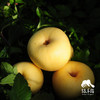 生态维纳斯苹果 | 合作生产*Eco-Venus apple | Coproduction 商品缩略图1