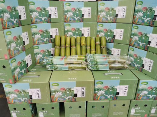 原价70元，团购价59！陶山甘蔗2箱 清香脆甜 温州市区同城配送 商品图2