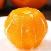 【重庆奉节脐橙】 新鲜现摘 酸甜多汁 爽口化渣 果味浓郁  5斤装 商品缩略图1