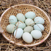密农人家 农家五谷喂养绿壳土鸡蛋  柴鸡蛋 30枚  绿壳笨鸡蛋 商品缩略图3