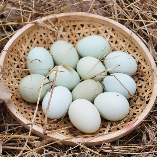 密农人家 农家五谷喂养绿壳土鸡蛋  柴鸡蛋 30枚  绿壳笨鸡蛋 商品图3