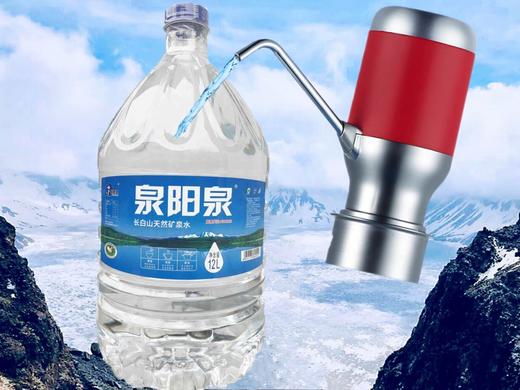 【公寓门口自提】12L一次性包装泉阳泉桶装水 商品图0