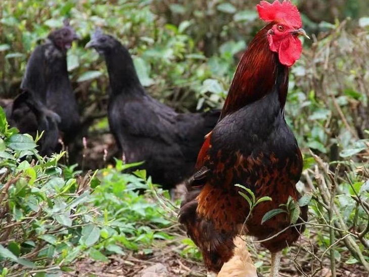 FvBUYRXatUZAWY-EEV-0IRBaNVW6.jpg FvBUYRXatUZAWY-EEV-0IRBaNVW6.jpg